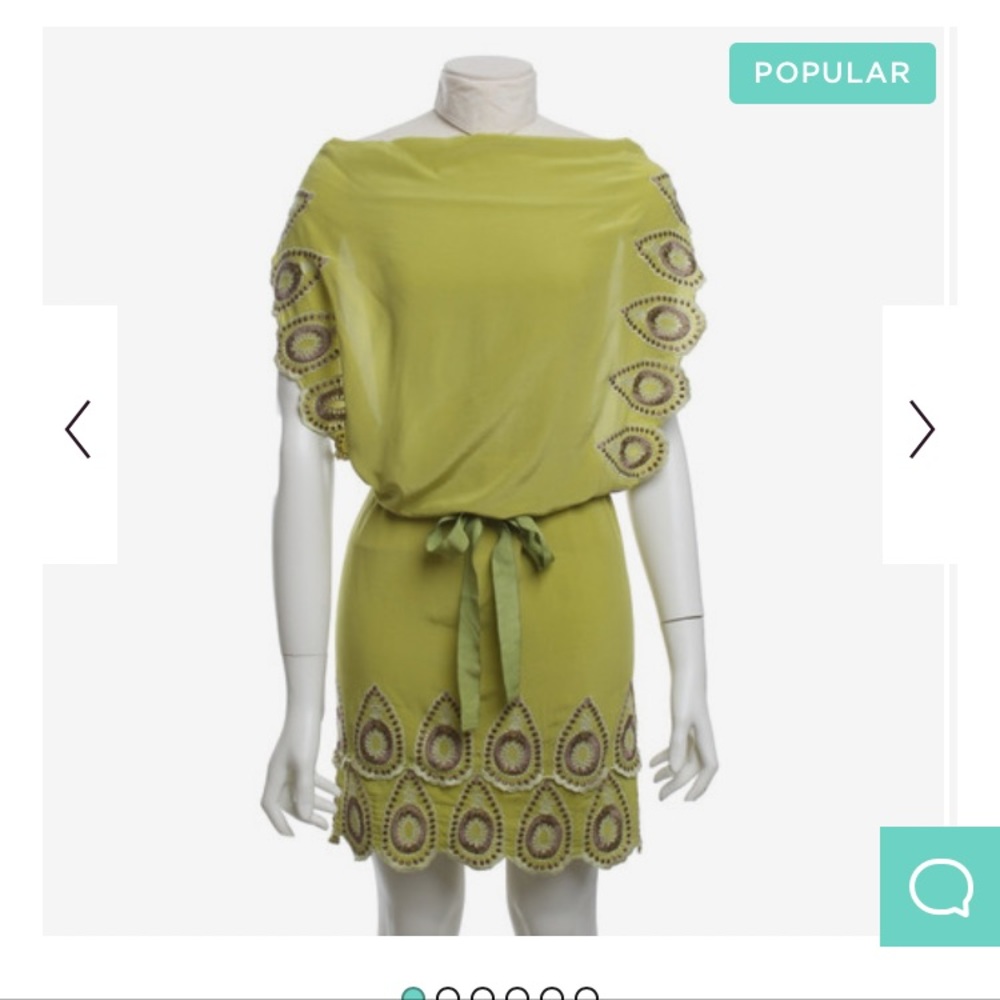 BCBG Runway one of a kind silk embroidered dress